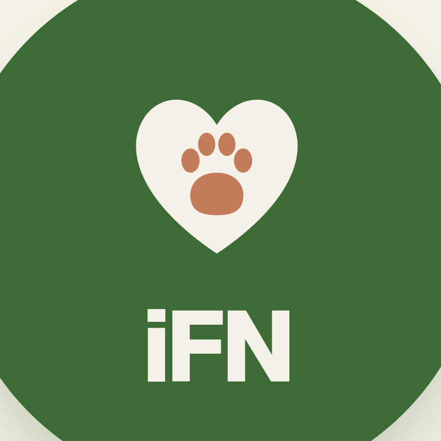 iFN